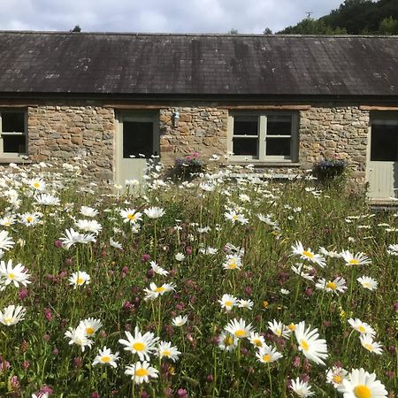 Danygraig Cottage Carmarthen Exterior foto